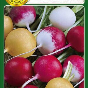 Rzodkiewka mieszanka 6g