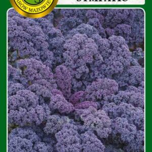 Jarmuż czerwony Sympatic 5g