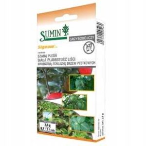 Signum 33 WG 100g grzybobójczy