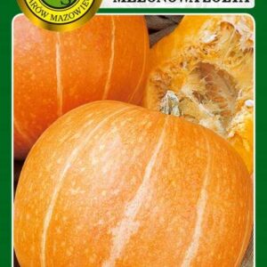 Dynia olbrzymia Melonowa Żółta