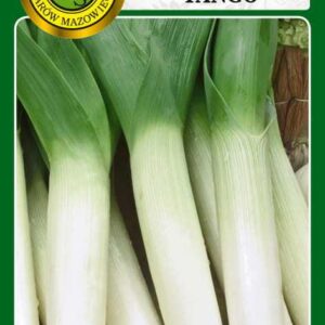 Por TANGO odmiana późna