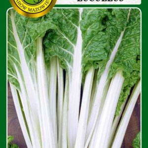 Burak liściowy Lucullus 5g