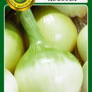 Cebula zimująca Augusta 5g