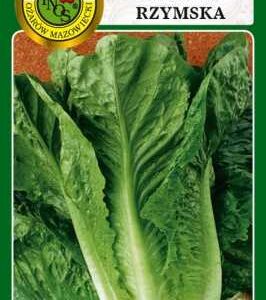 SAŁATA RZYMSKA LENTISSIMA A MONTARE 3 1G