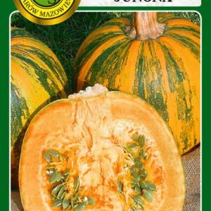 Dynia zwyczajna bezłupinowa Junona