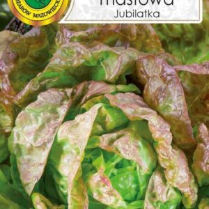 Sałata głowiasta masłowa Jubilatka 1g
