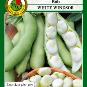 Bób White Windsor