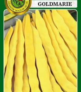 Fasola tyczna szparagowa Goldmarie
