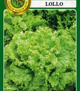 SAŁATA LIŚCIOWA LOLLO 1G