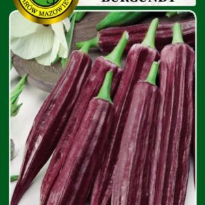 Okra Burgundy 2g