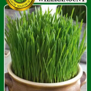 Owies wielkanocny 10g