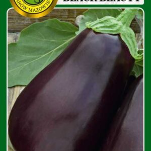 Oberżyna Black Beauty 0,5g