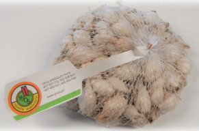 Cebula dymka FINEZJA biała 5-21 mm 250g