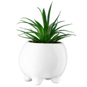 Sztuczny sukulent w osłonce ceramicznej biały, wysoki