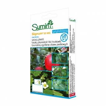 SIGNUM 33WG 50G