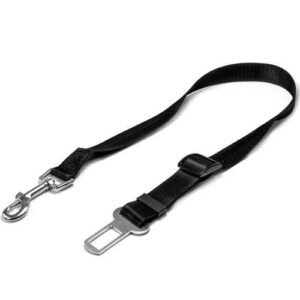 Pas bezpieczeństwa do auta dla psa Record Seat Belt