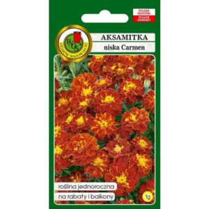 AKSAMITKA PEŁNA NISKA CARMEN KARMAZYNOWO-MIODOWY 1g