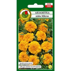 AKSAMITKA PEŁNA NISKA MIKRUS POMARAŃCZOWY 1g