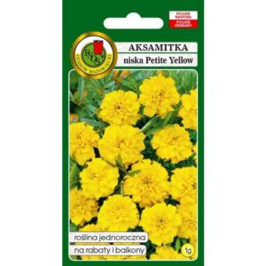 AKSAMITKA PEŁNA NISKA PETITE YELLOW CYTRYNOWOŻÓŁTA 1g