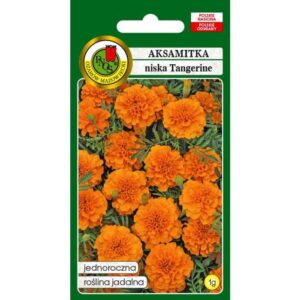 AKSAMITKA PEŁNA NISKA TANGERINE POMARAŃCZOWA 1g