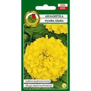 AKSAMITKA PEŁNA WYSOKA ALASKA JASNOCYTRYNOWA 1g