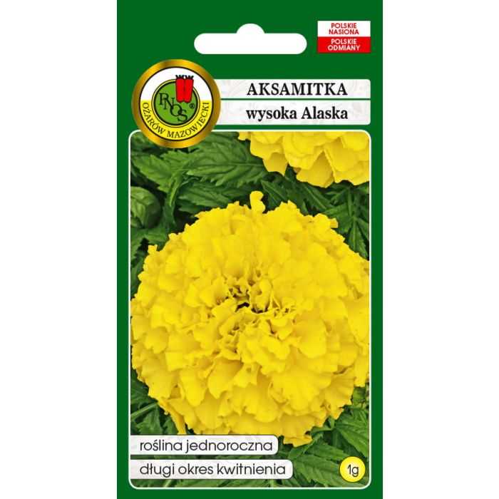 AKSAMITKA PEŁNA WYSOKA ALASKA JASNOCYTRYNOWA 1g