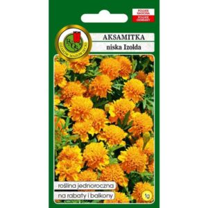 AKSAMITKA PEŁNA NISKA IZOLDA BRZOSKWINIOWOPOMARANCZOWA 1g