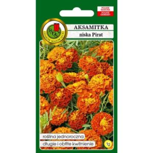 AKSAMITKA PEŁNA NISKA PIRAT MIODOWO-MAHONIOWA 1g