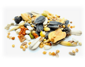 MIESZANKA DLA PAPUG ŚREDNICH