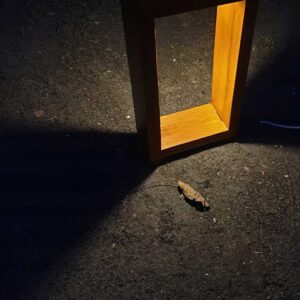 Lampa drewniana prostokątna